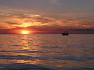 There be whales out there