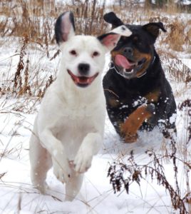 Sirois Charm and Xamira