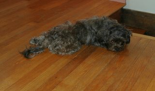 commentary_0811_Fric1